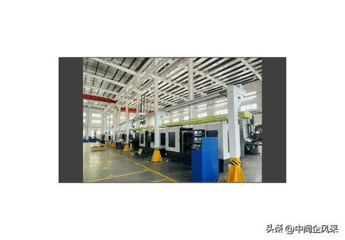 銅陵副市長楊如松 市經(jīng)信局副局長周金生一行赴銅陵天海流體考察