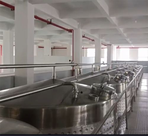 12000瓶玻璃瓶飲料生產線設備 5000噸大型果酒加工設備